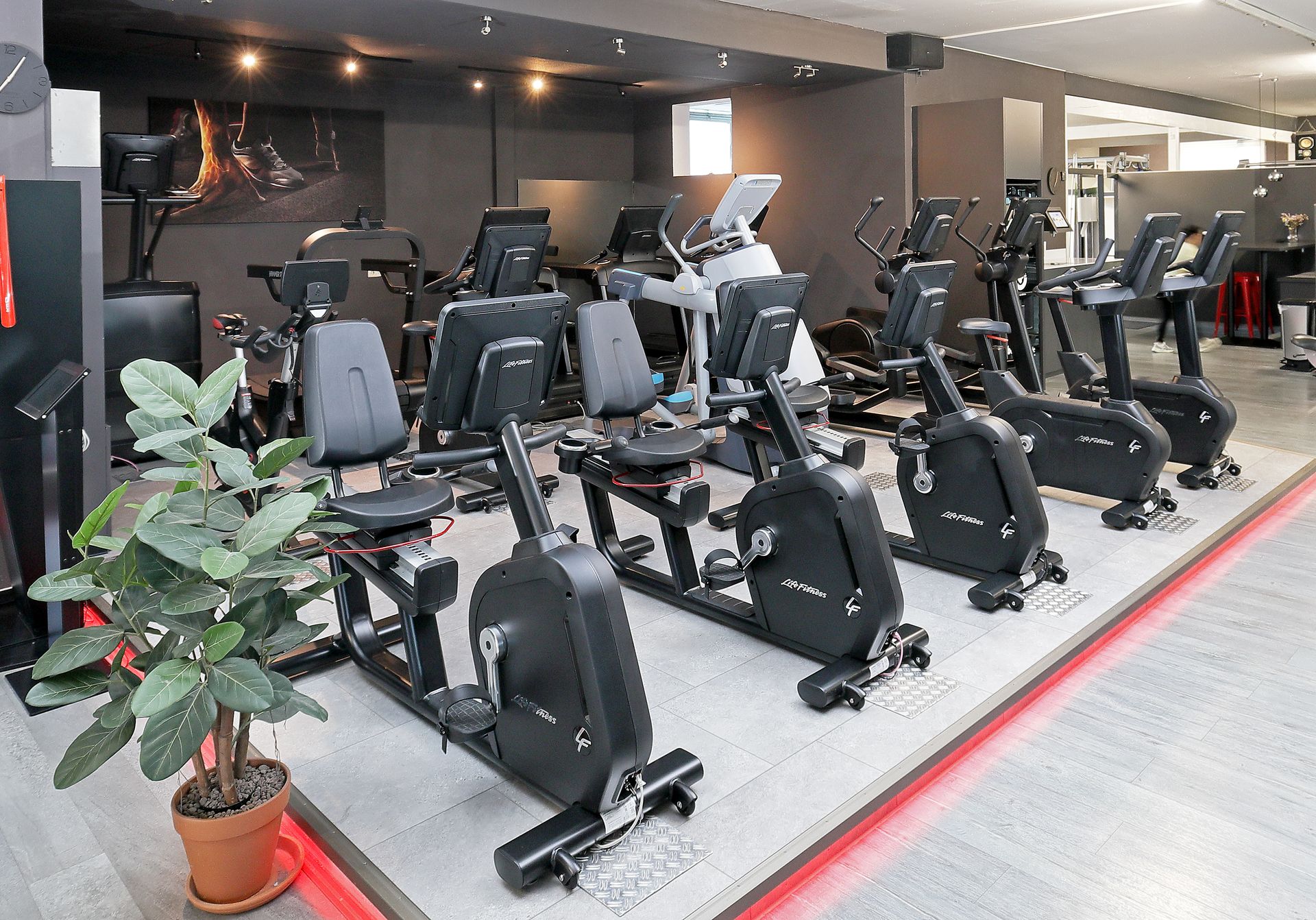 Zielgerichtetes Krafttraining